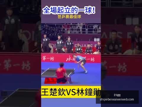 金子豪,李昊桐紧随,其后,PA真人,PA真人平台,PA真人App,PA真人下载